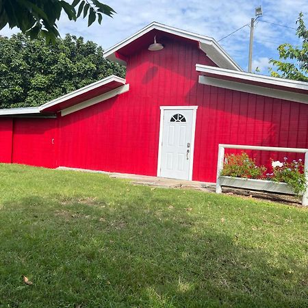 Maria'S Tiny Barn Casa de hóspedes Homestead Exterior foto