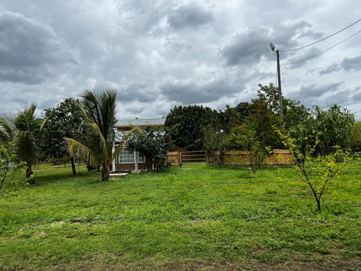 Maria'S Tiny Barn Casa de hóspedes Homestead Exterior foto